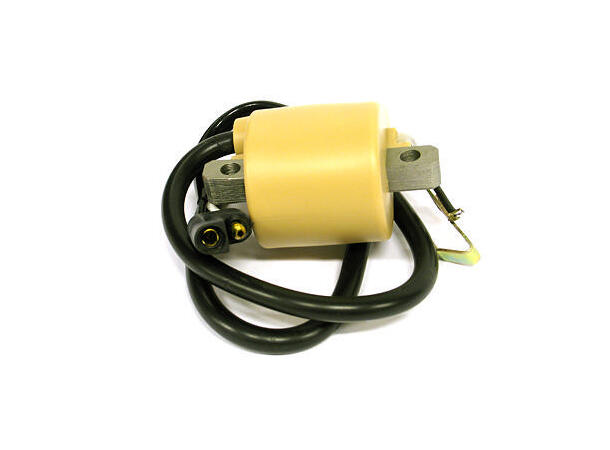 Coil - Ski-Doo OEM: 410912400, 410916000 